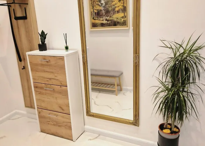 Apartman Natali Karlovy Vary