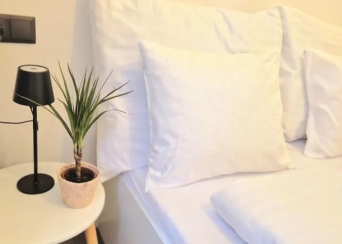 Apartament Natali Karlowe Wary